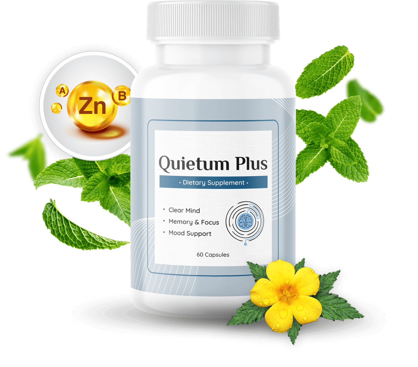 Quietum Plus Official Supplement Bottle